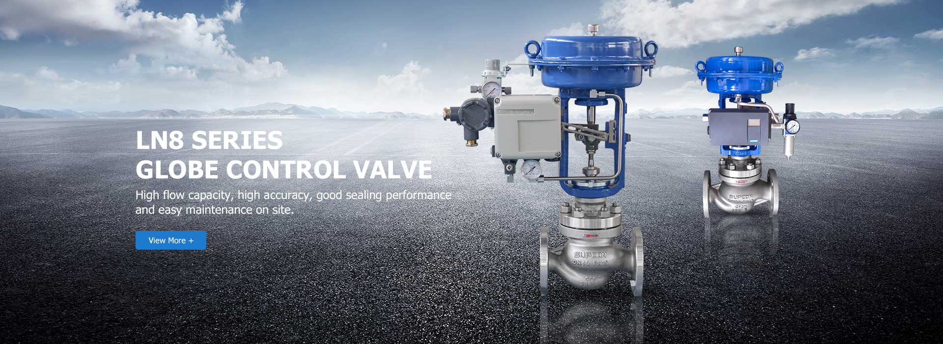 Globe Control Valve