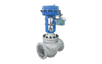 Globe Control Valve