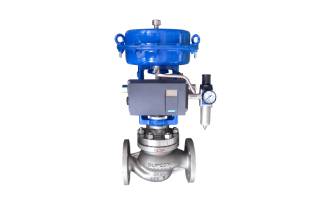 Globe Valve