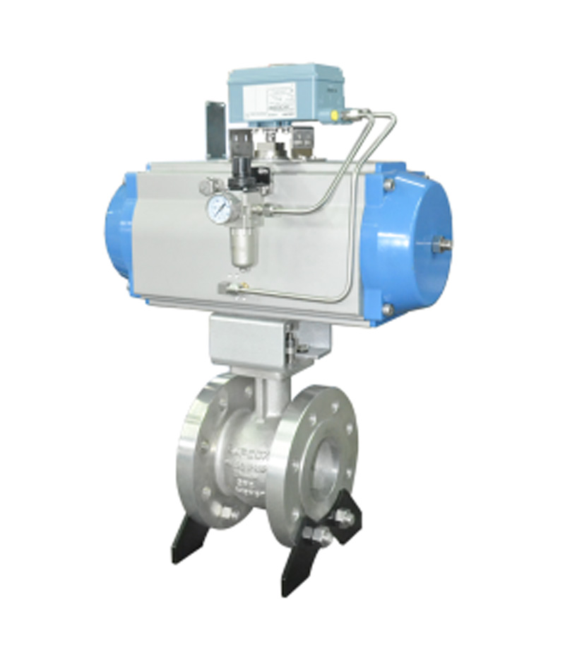 Rotary Control Valve6