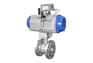  Eccentric Plug Valve