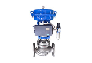 Globe Control Valve