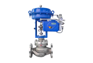 Globe Control Valve