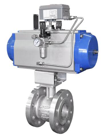 Eccentric Rotary Control Valve