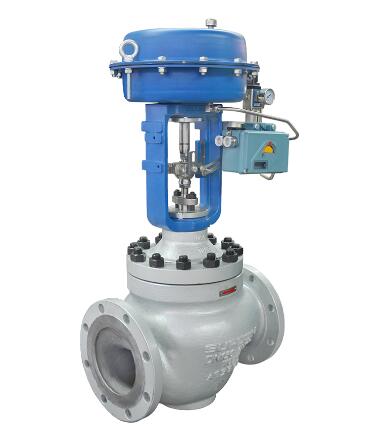 Globe control valve
