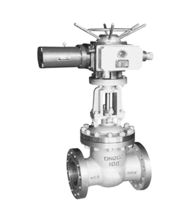 Z643/943 Series Wedge Gate Valve