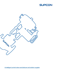 SUPCON Valve Brochure-English