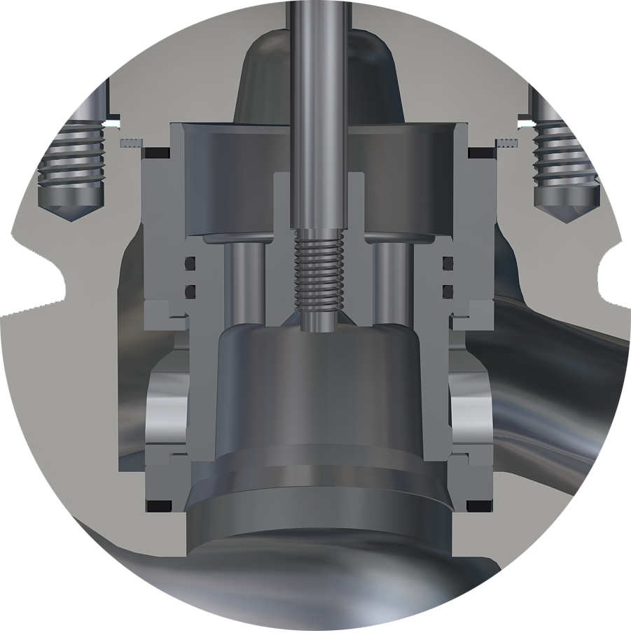 cage valves