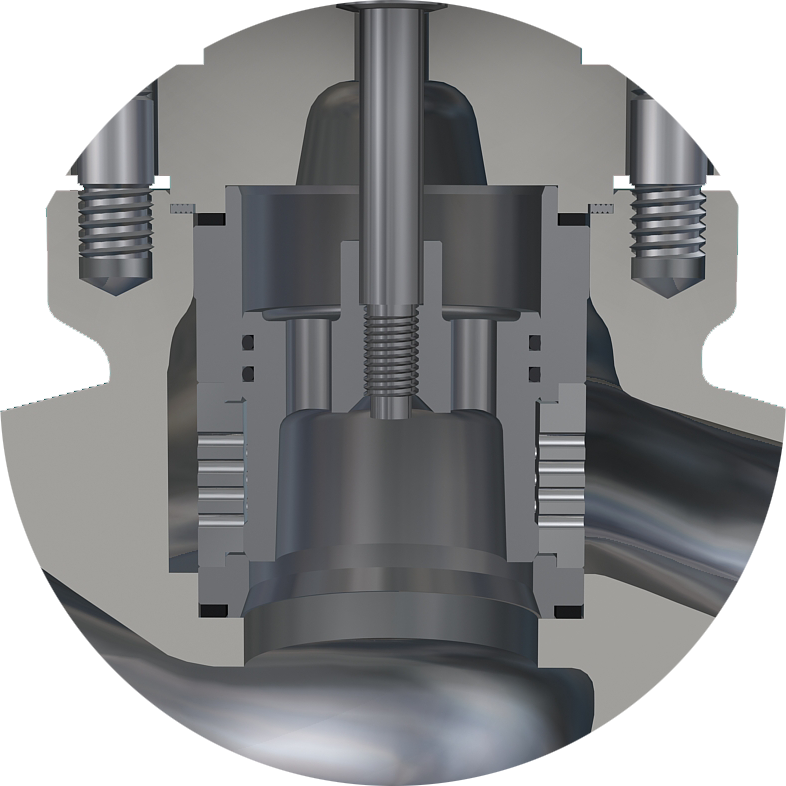 cage valves