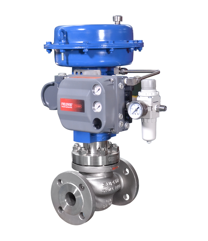 Globe Control Valve