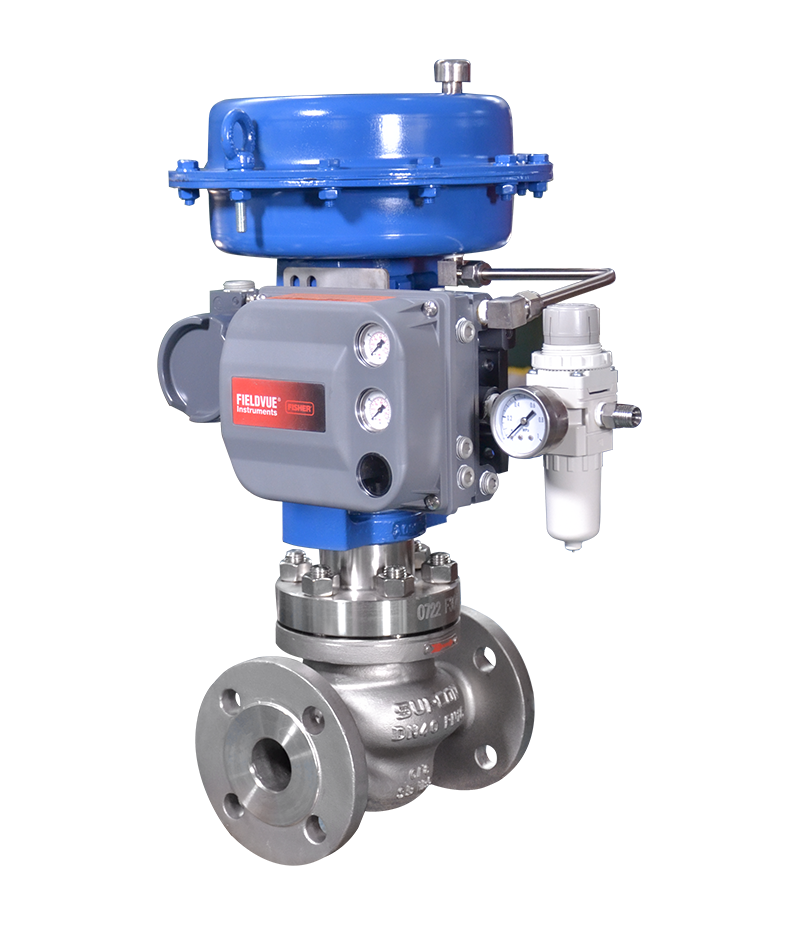 Globe Control Valve