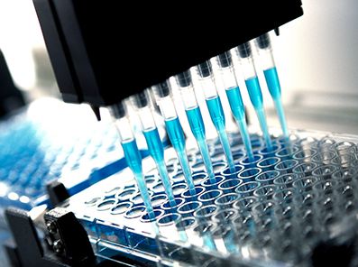 Fine Chemical Industry