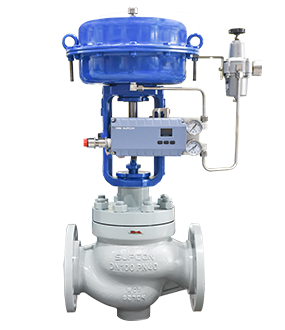 Globe Control Valve